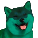 TheShinyServer