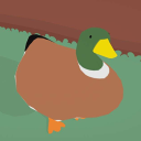 Elit Goose Goose #MODALIM
