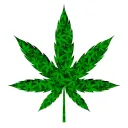 Yield Green