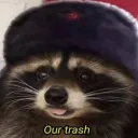totally not a raccoon cult
