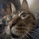 chat 'n stuff