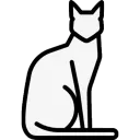 Hairless Cat Club
