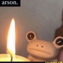 Fire Frog Discord server icon