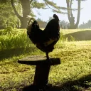 Chickens