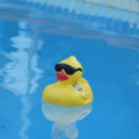 𝐃𝐚𝐧𝐤𝐥𝐢𝐧𝐠𝐬