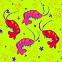 ♡ Maji Shrimp ♡