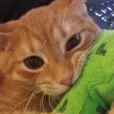 <3