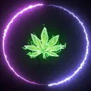 【大麻商城】專業售後 物超所值