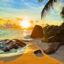 Paradise Leaks