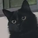 𝓜𝓲 𝓬𝓪𝓻𝓪 𝓬𝓾𝓪𝓷𝓭𝓸