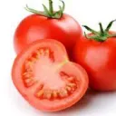Group-Tomatoes