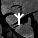 𝐄𝐘𝐄𝐑𝐎𝐒 — 𝐑𝐏