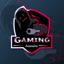 The Gaming Assassin's