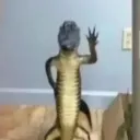 Laughing Stock Discord Server Icon