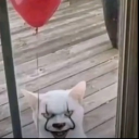 server of agony and no return