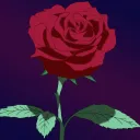 The Rose Garden