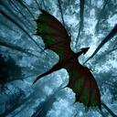 Ruf des toten Drachen - Eragon RP Discord Server Icon