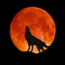 The Pack