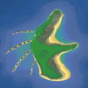 Sea Creature Cove