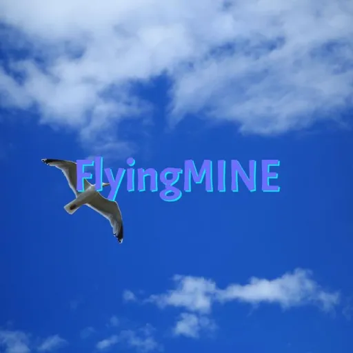☁ FlyingMINE ☁ - Minecraft Сервер — мониторинг Discord сервера, статистика и рейтинг