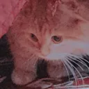 .. Discord server icon