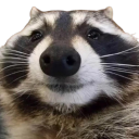 𝘛𝘳𝘢𝘴𝘩 𝘗𝘢𝘯𝘥𝘢'𝘴