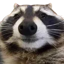 𝘛𝘳𝘢𝘴𝘩 𝘗𝘢𝘯𝘥𝘢'𝘴