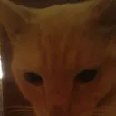 ConfidentSalt_ Server's icon