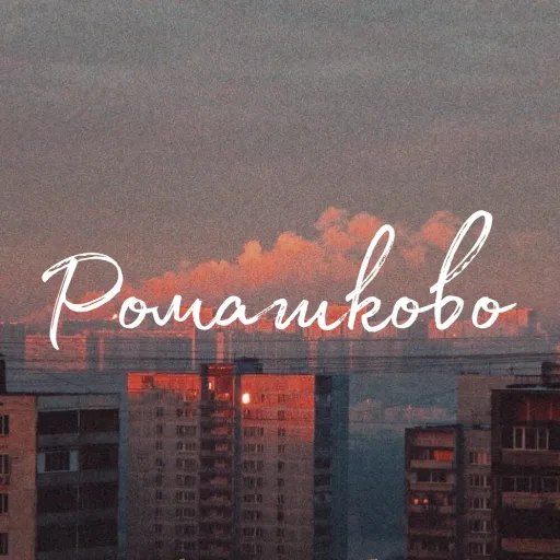 |Ромашково| — мониторинг Discord сервера, статистика и рейтинг