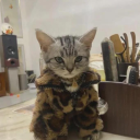 Nemu Café • India • Hangout...