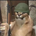 Floppa army
