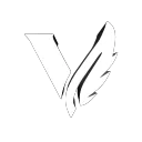 Team Velo