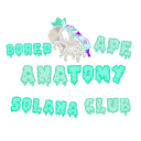 Bored Ape Anatomy Solana Club