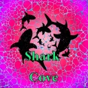 Shark Cove Discord Server Icon