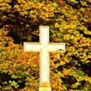 The Believers Place