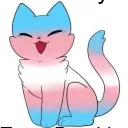 Trans Mascs
