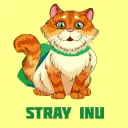 Stray inu