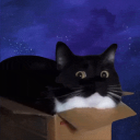 Discovery icon for Kuuk's Epic Meme Server Discord server