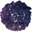 The Orion Project