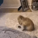 bunboard Discord Server Icon