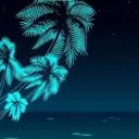 The Beach