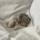 ʚ♡﹕sleepy comfy₊⊹