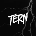 Tern's Community Server