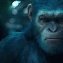 Ape Gang