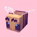 NAF Discord Community