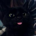 meooow Discord Server Icon