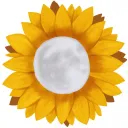 Sunflower Seed Spirituality