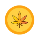 Ganja Casino