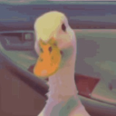 Ducc Cult