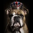 British Bulldogs